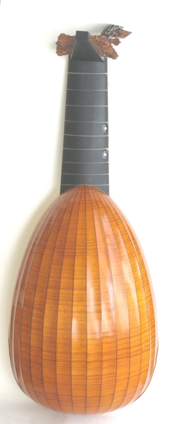 lute martin de witte back.JPG