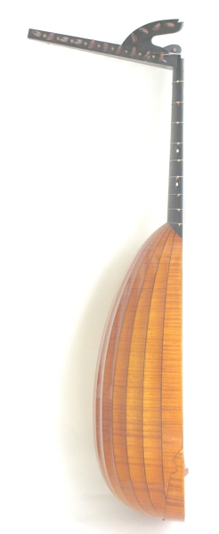 lute martin de witte 2010 side.JPG